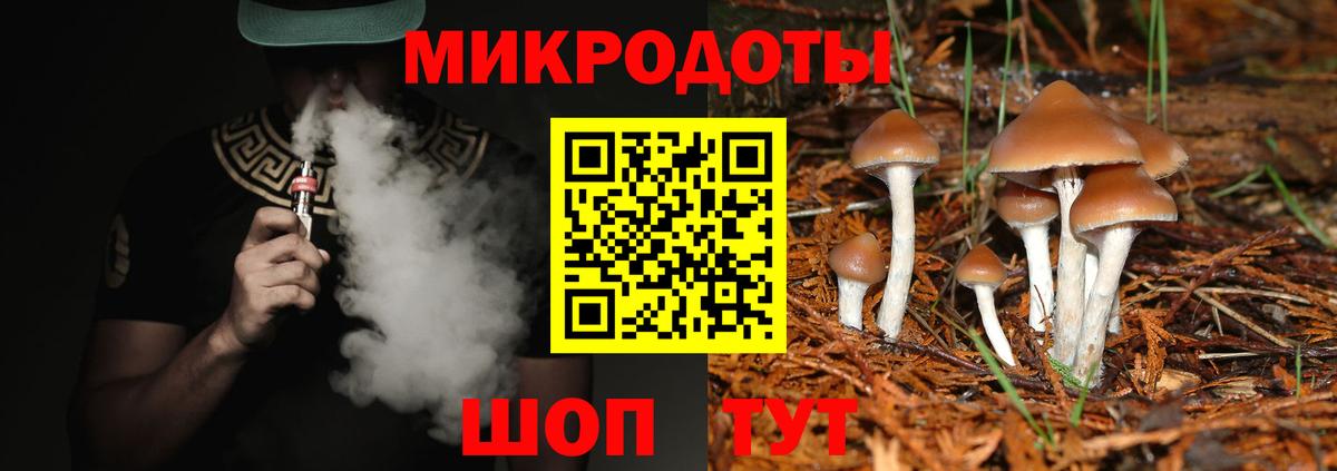 Псилоцибиновые грибы Psilocybine cubensis Богданович