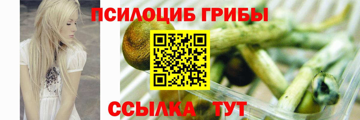 Псилоцибиновые грибы Psilocybe  Галлюциногенные грибы Cubensis  Богданович  Вход с VPN 